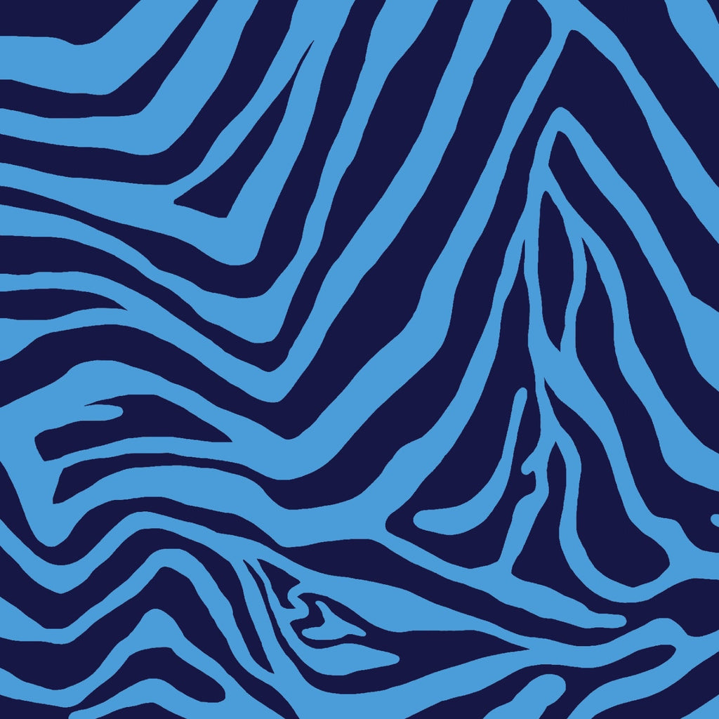 Cecilia Print Sleeveless Mock Dress – 58932